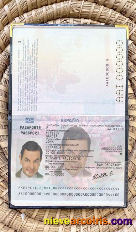 Spain till 2015 passport photolook